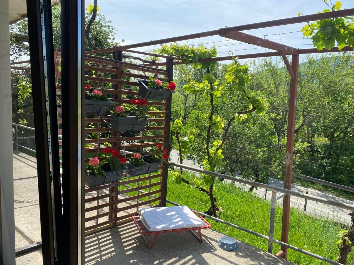 Apartman Verona بوزت المظهر الخارجي الصورة